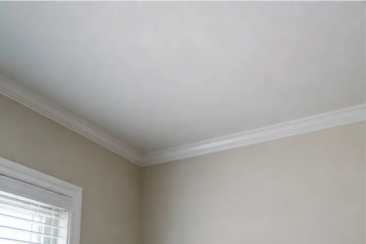 Interior ceiling with no visible water stain or damp ring.