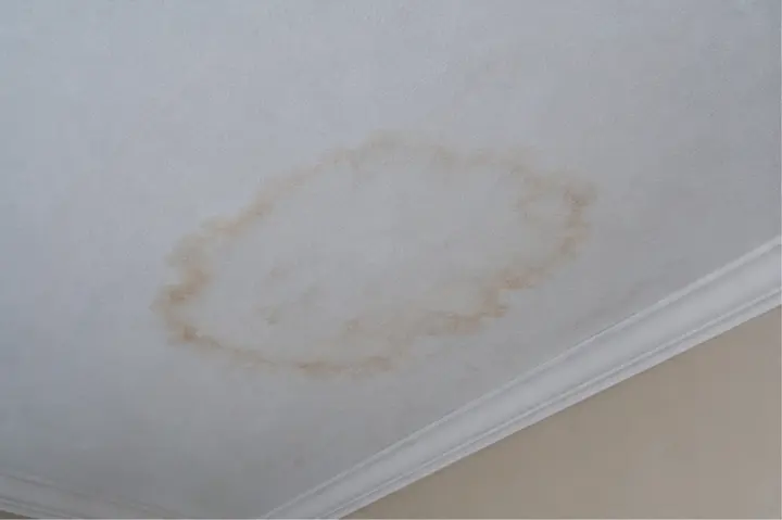 Interior ceiling tile with a dark water stain from active or recent moisture.