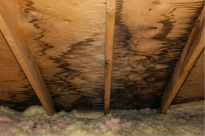 Attic or garage framing with visible water marks after rain.